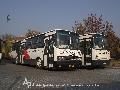 BOS-786 > Ikarus 256.44 s JHZ-334 C56 Classic