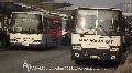 KXW-195 > Volvo Alfa Localo +GVP-948 >Ikarus C56 Classic