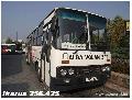 Ikarus 256.42S ALBA VOLN BPG-676 (Szkesfehrvr)