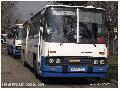 Ikarus 266.25 KUNSG VOLN BPF-021 (Kecskemt)