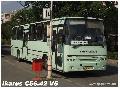 Ikarus C56.42 V5 MTRA VOLN HAE-503 (Gyngys)