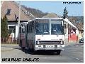 Ikarus 280.65 Ngrd CKC-958 (Salgtarjn)